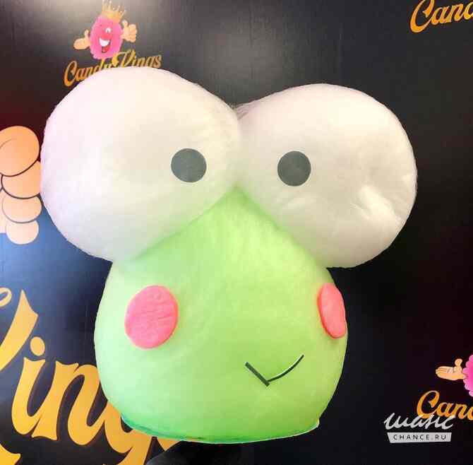 Аппарат для сахарной ваты CANDYMAN GAS PLUS (газовый) - для уличной торговли! Санкт-Петербург - изображение 6