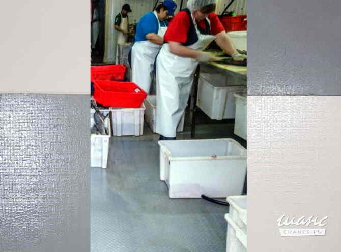 Напольное покрытие для пола цеха пищевых предприятий Москва - изображение 9