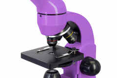 Микроскоп Levenhuk (Левенгук) Rainbow 50L Amethyst\Аметист