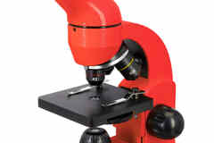 Микроскоп Levenhuk (Левенгук) Rainbow 50L Orange\Апельсин
