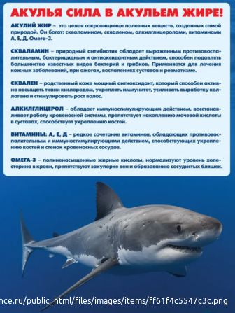 Акулья сила - акулий жир+троксерутин конский каштан кора ивы гель-бальзам для ног 100 мл Москва - изображение 4