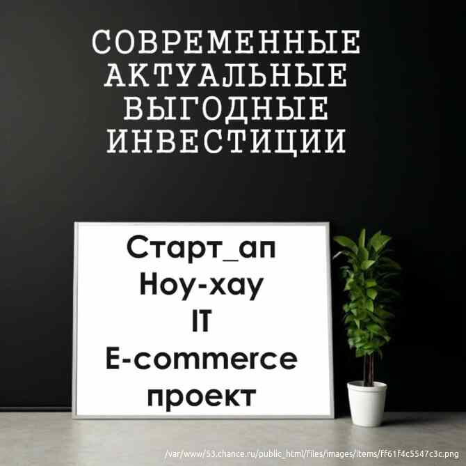 Ищу инвестора! Предлагаю грамотное, современное и надежное вложение Вашего капитала в старт-ап, IT, Москва - изображение 1