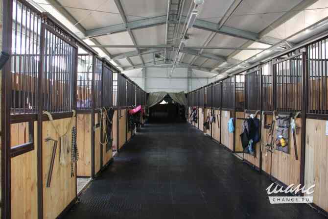 Резиновая плитка для полов гаражей, цехов и автосервисов Москва - изображение 5