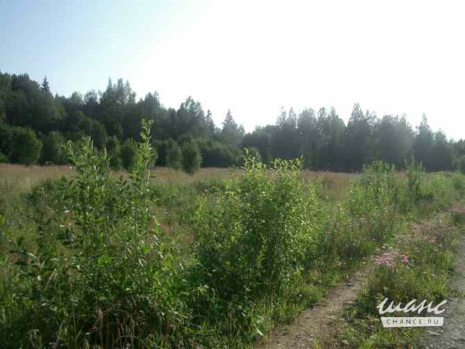 Продам земельный участок 1850 соток, фермерское хозяйство, Санкт-Петербург Санкт-Петербург - изображение 5