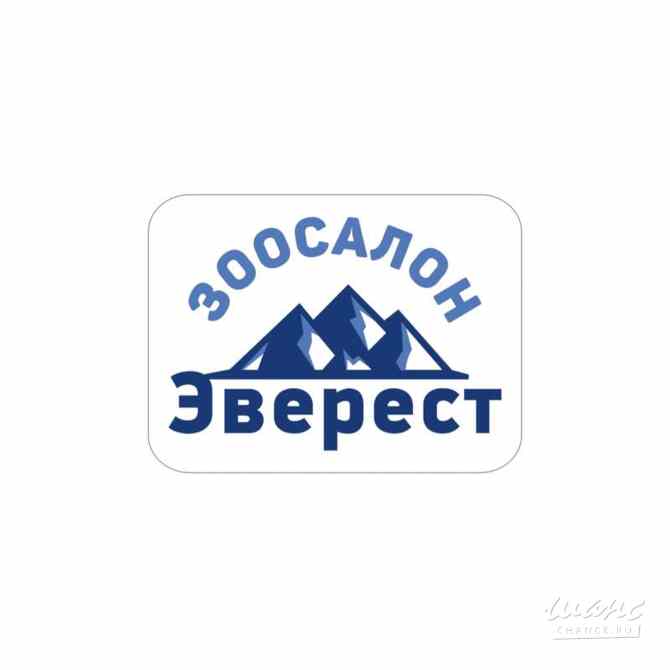 Требуется грумер в сфере Промышленность, производство Балашиха - изображение 1