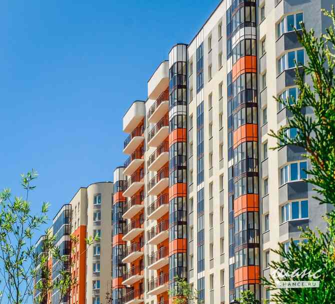 1-к квартира, 51.4 м², этаж 1/12 Бугры - изображение 9