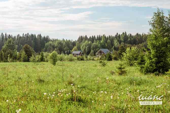 Земельный участок 14 соток, Березовая аллея Кингисепп - изображение 5