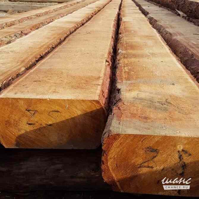 Лиственница, кедр, хвоя, береза продажа оптом. Москва - изображение 9