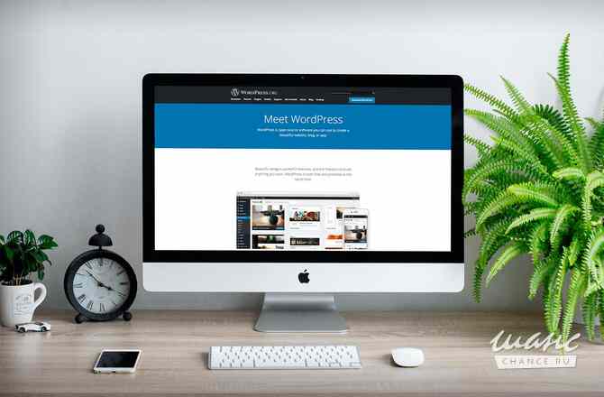 Создание сайтов на WordPress Санкт-Петербург - изображение 2