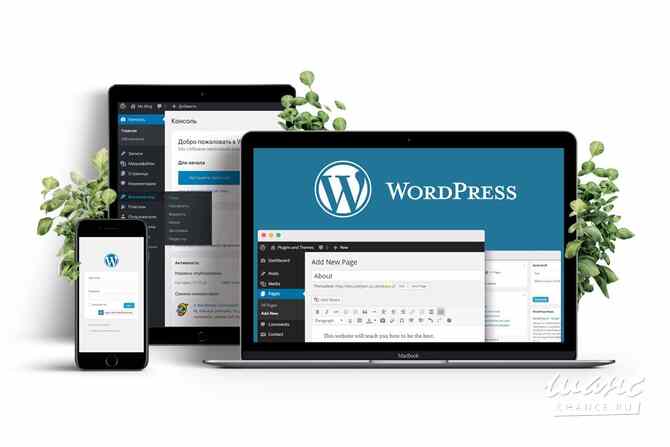 Создание сайтов на WordPress Санкт-Петербург - изображение 1