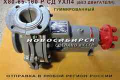 Х80-65-160 Р СД УХЛ4. Химические насосы