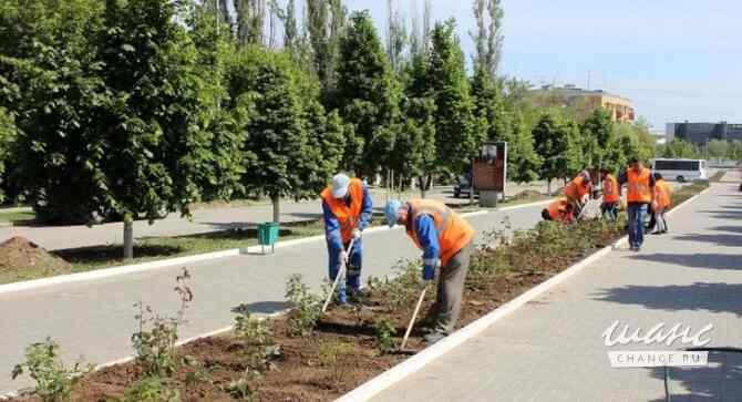 БЛАГОУСТРОЙСТВО МОСКВА 24/7 Москва - изображение 5