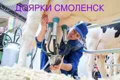 Требуются доярки с опытом