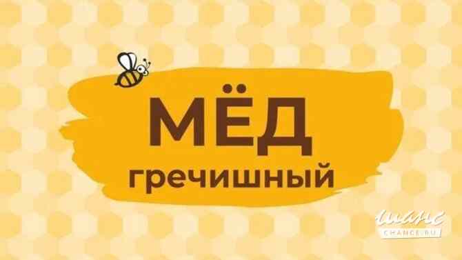 Продам Мёд алтайский гречишный . Алтай Мурманск - изображение 1