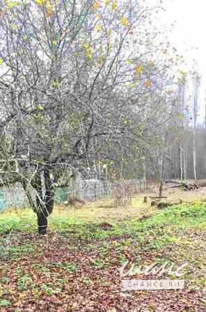 Продам земельный участок 16,5 соток, ЛПХ, Кимры Кимры - изображение 8