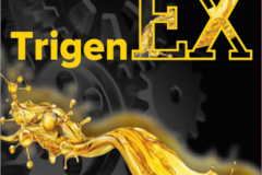 Масло моторное синтетическое TrigenEX OIL 10w60 на основе PAO