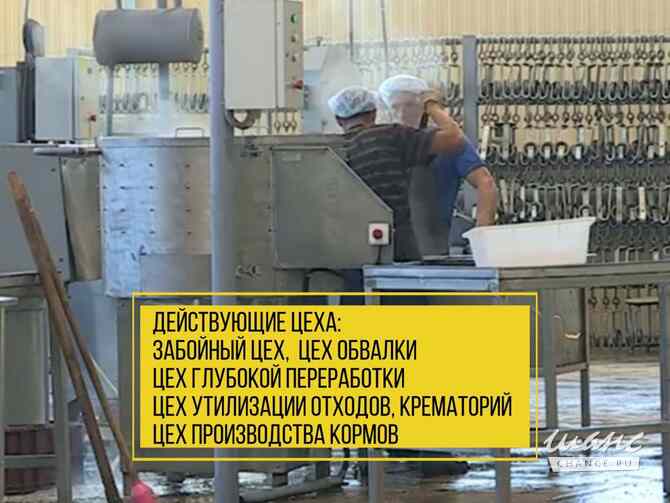 продажа - другое Красноярск - изображение 4