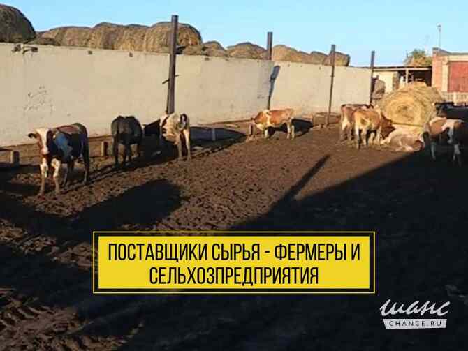продажа - другое Красноярск - изображение 2