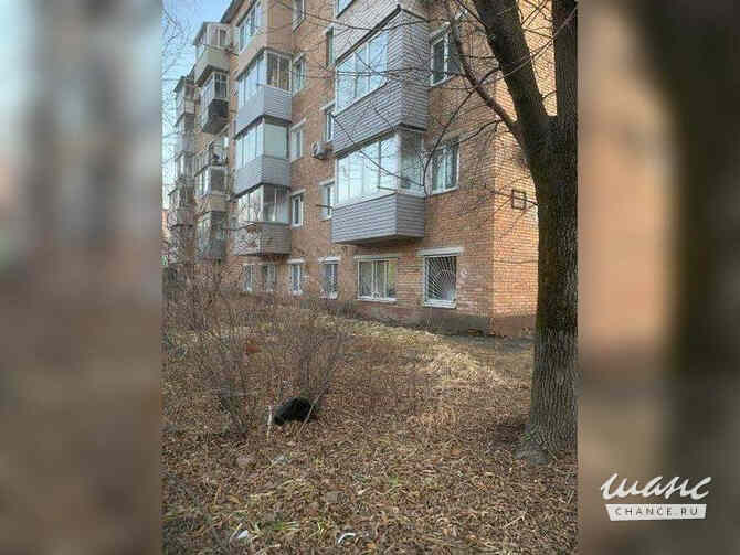 1-к квартира, 43.3 м², этаж 5/5 Владивосток - изображение 4
