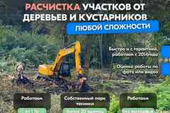 Расчистка территорий от деревьев и пней от 1 Га