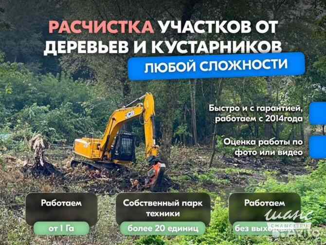 Расчистка территорий от деревьев и пней от 1 Га Краснодар - изображение 1