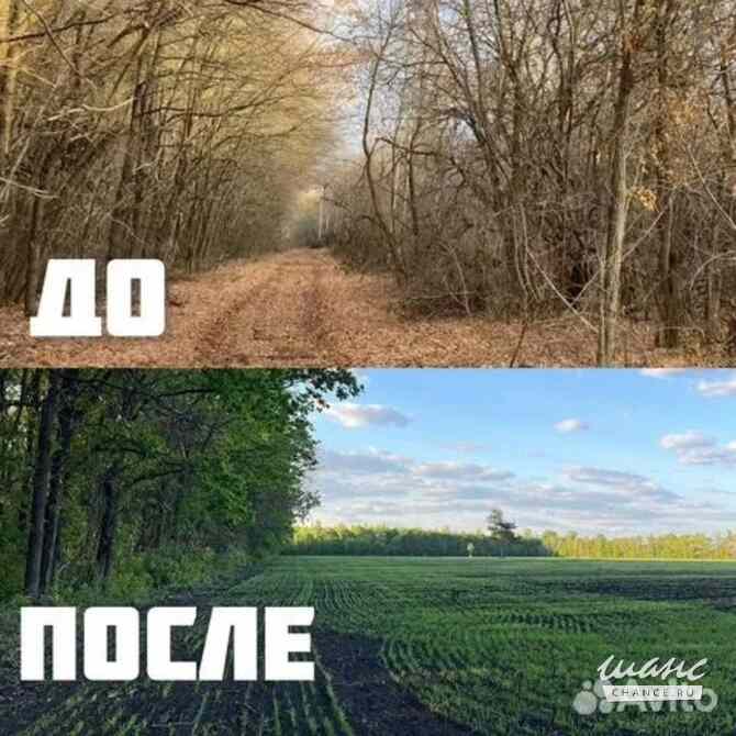 Расчистка территорий от деревьев и пней от 1 Га Краснодар - изображение 5