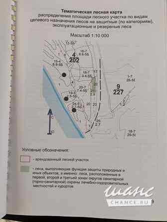 Продам Участок 1 Гектар земли лесного фонда Анапа - изображение 2