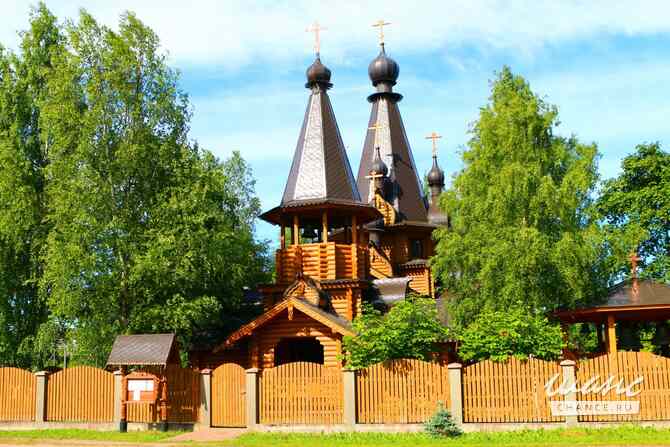 Земельный участок 8 соток, Садоводство Выборг - изображение 4