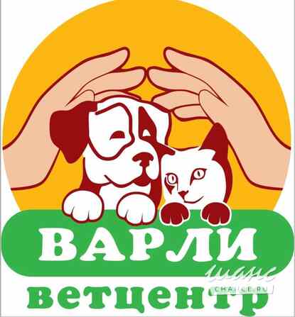 Требуется ассистент-помощник ветеринарного врача в сфере Медицина, фармацевтика Казань - изображение 1