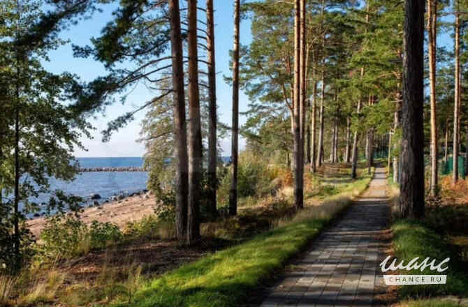 Земельный участок 13 соток, ИЖС, 8-й Парусный проезд Выборг - изображение 4