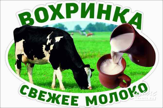 Требуется ветеринарный врач в сфере Промышленность, производство Москва - изображение 1