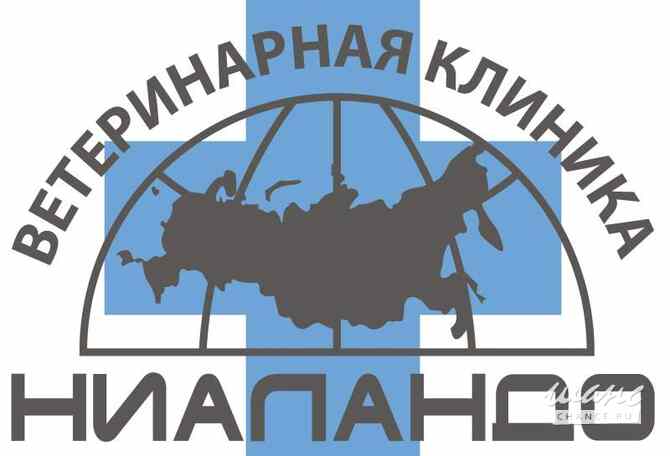 Требуется ветеринарный врач общей практики в сфере Медицина, фармацевтика Москва - изображение 1