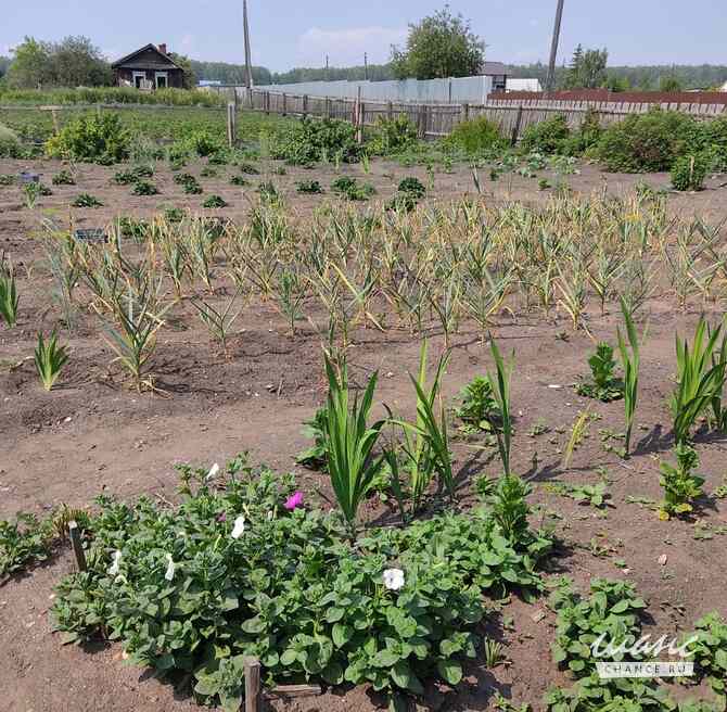 Дом 45 м², Кирова улица, 62 Кунашак - изображение 3