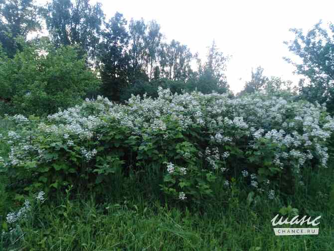 Дом 47 м², Комсомольская улица, 13 Козельск - изображение 4