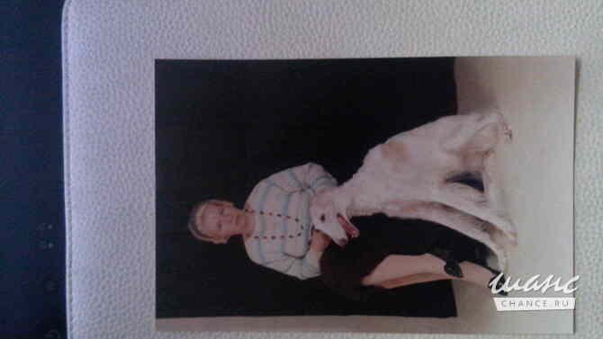 женщина 58 лет. Для серьезных отношений ищет порядочного мужчину от 55 до 66 лет Санкт-Петербург - изображение 1