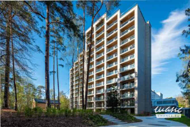 1-к квартира, 22.6 м², этаж 9/12 Зеленогорск - изображение 6