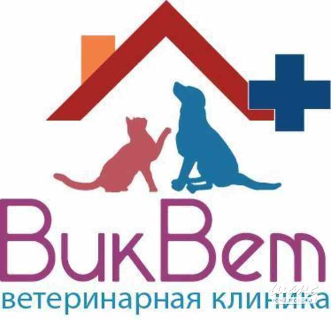 Требуется ветеринарный врач орит в сфере Медицина, фармацевтика Краснодар - изображение 1