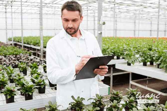 продажа - другое Санкт-Петербург - изображение 5