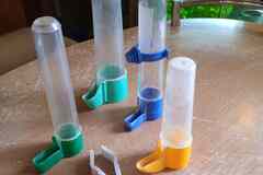 поилка для попугая