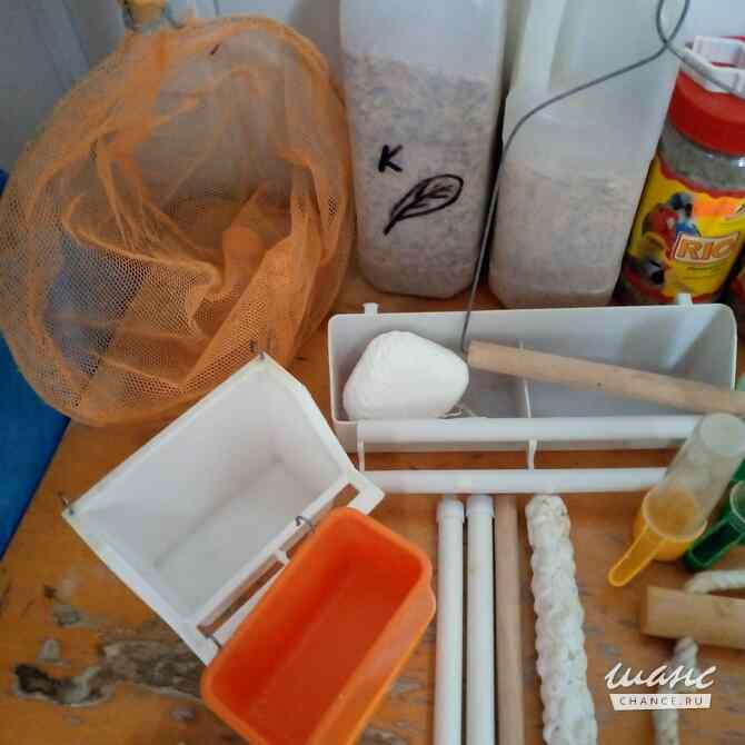 аксессуары для попугая Астрахань - изображение 7