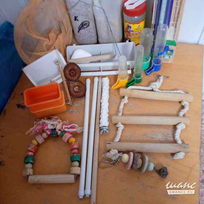 аксессуары для попугая Астрахань - изображение 1