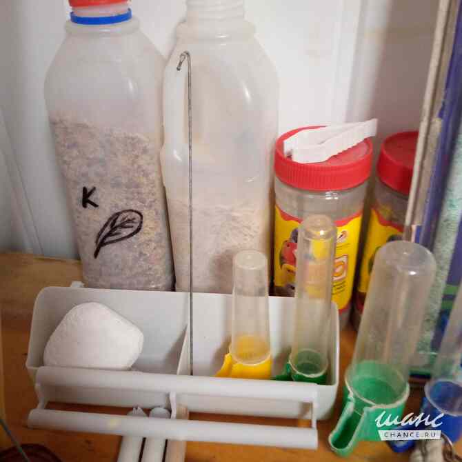 аксессуары для попугая Астрахань - изображение 5