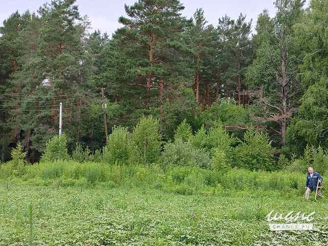 Дом 42 м², Зеленая улица, 59 Новоалтайск - изображение 10