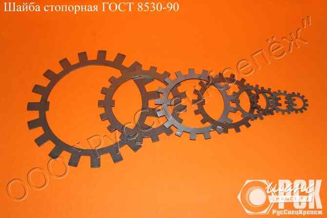 Шайба стопорная ГОСТ 11872-89,ГОСТ 8530-90 сталь 20Х13,30Х13, 12Х18Н10Т, 14Х17Н2 Таганрог - изображение 4