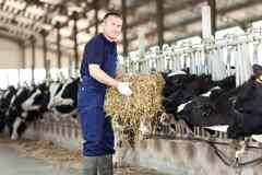 Скотник вахтой