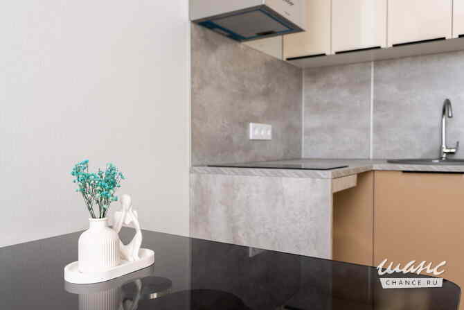 1-к квартира, 20 м², этаж 10/17 Одинцово - изображение 8