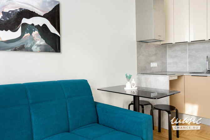 1-к квартира, 20 м², этаж 10/17 Одинцово - изображение 7