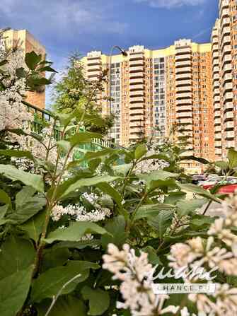 1-к квартира, 44.6 м², этаж 14/20 Долгопрудный - изображение 1