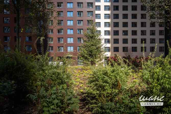 Сдам в аренду гараж 13.3 м Москва - изображение 6