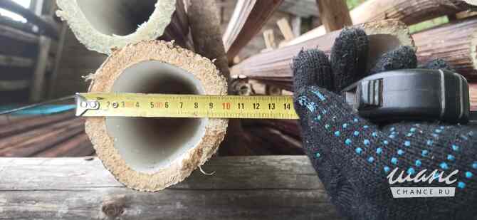 Борщевик гигантские стволы Санкт-Петербург - изображение 2